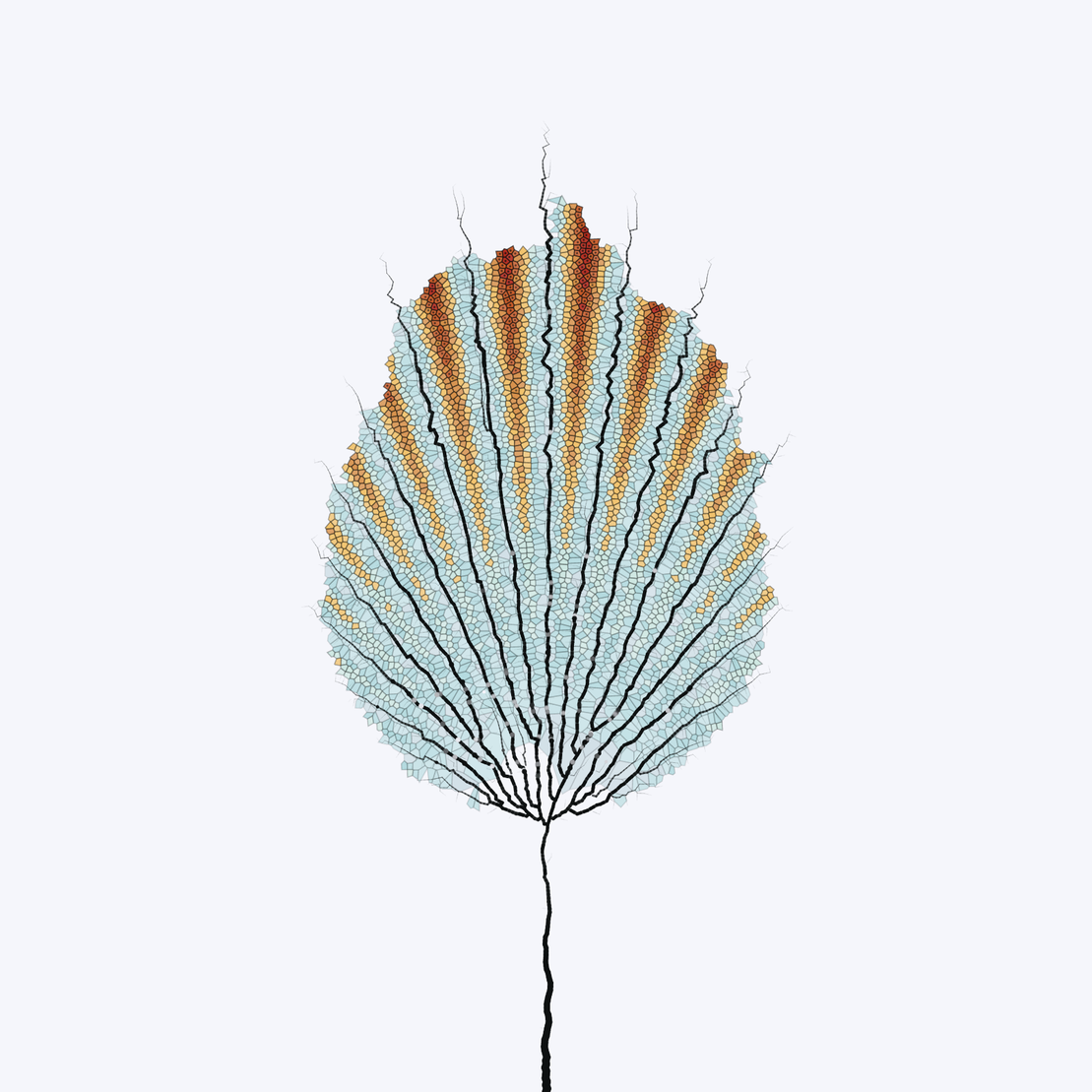 Leaf study #35