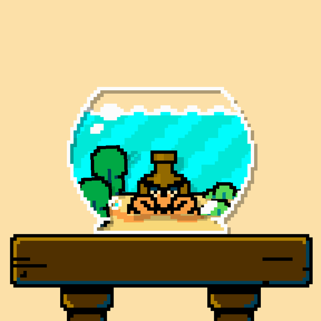 hermit crab #206