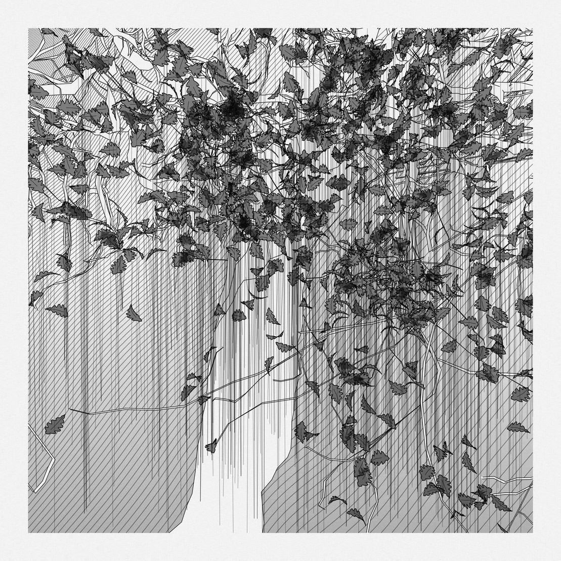 A Bugged Forest #408