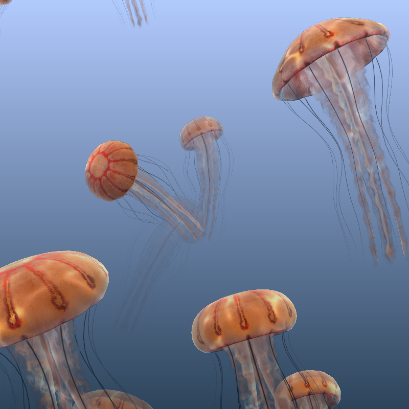 Jellyfish #16