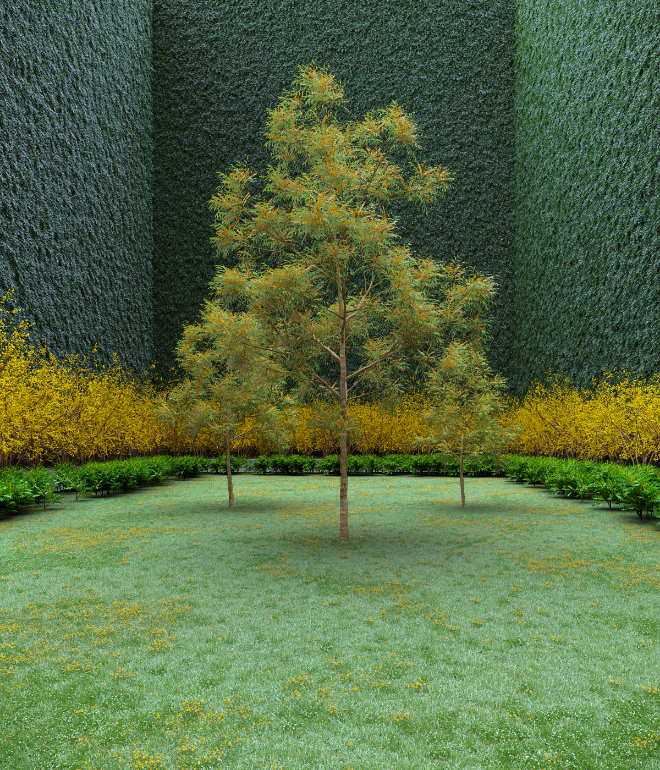 Garden of Imagination #40