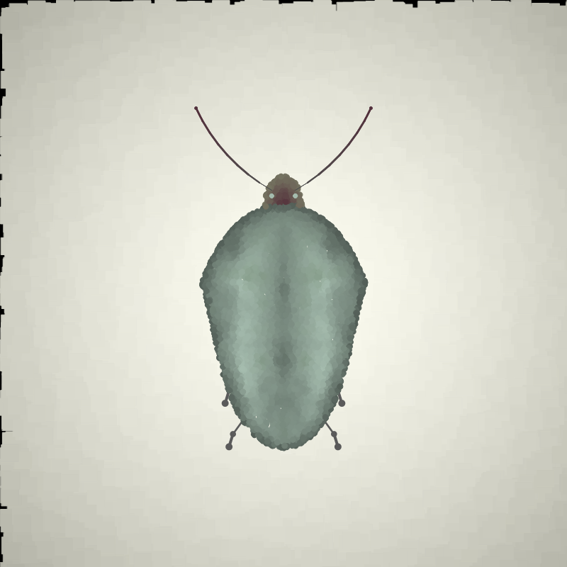 Beetle Sketches #29