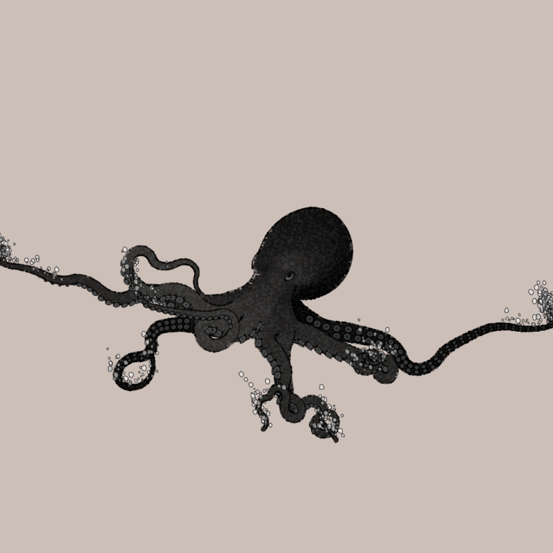 the generative octopuses #22