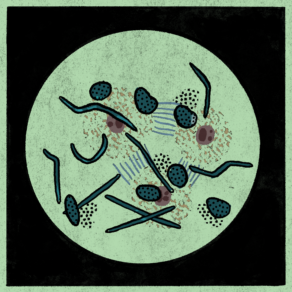 Microbes #92