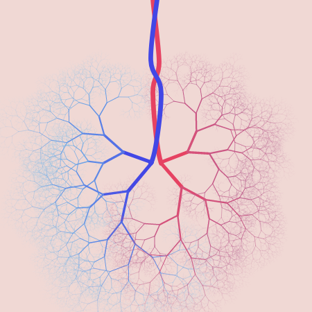 capillary trees #6