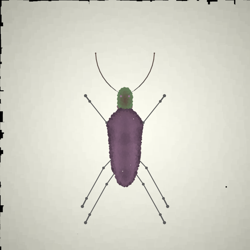 Beetle Sketches #13