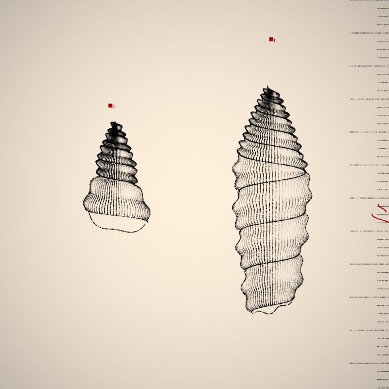 Two Specimen #185