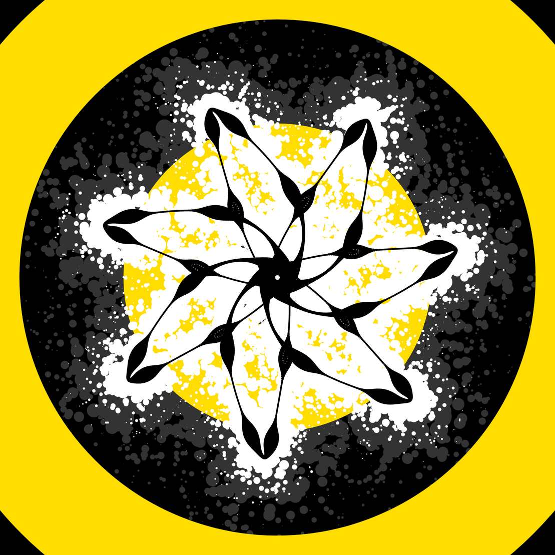EPIHYPERDERPFLARDIOIDS #232