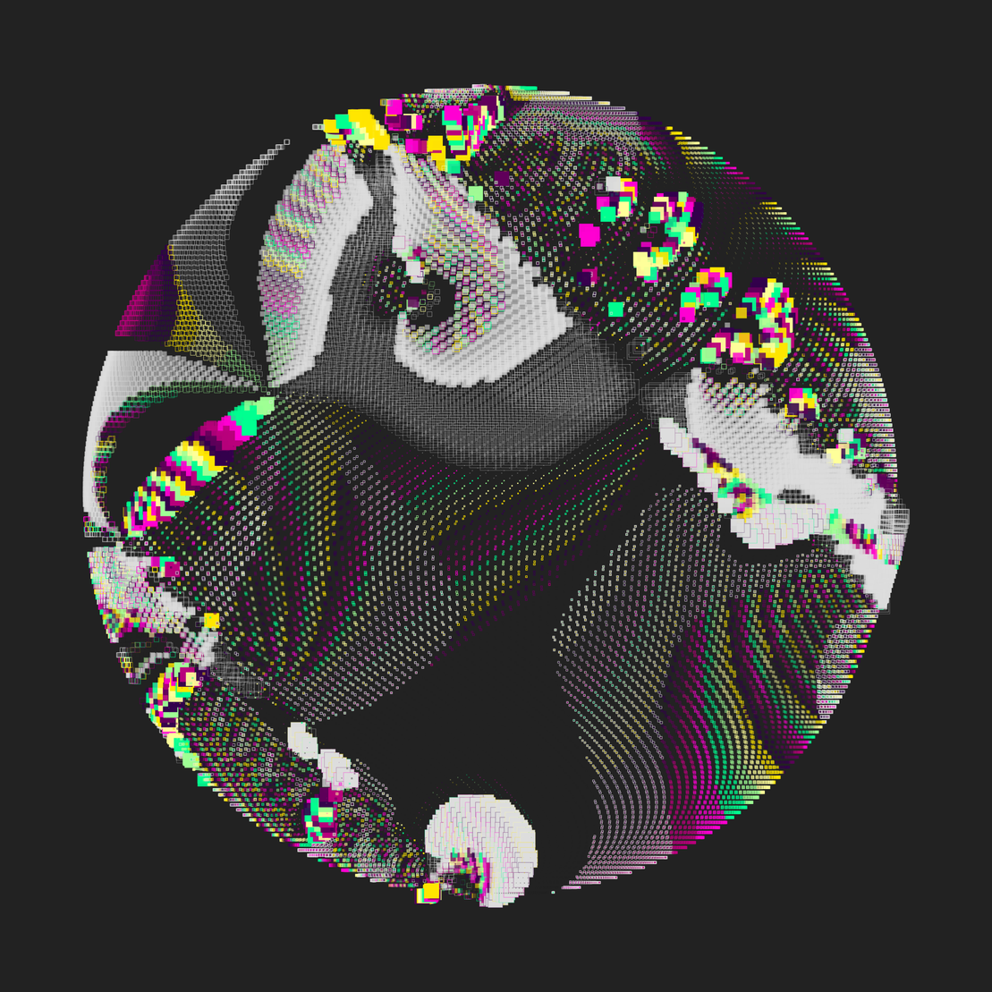 Still C #26424