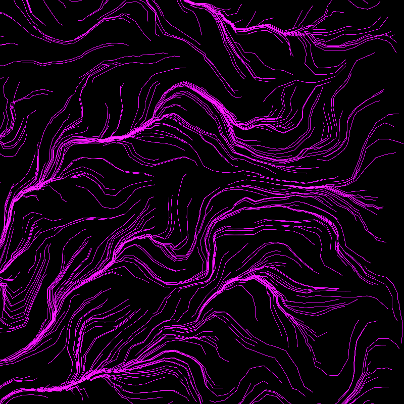 Flow Field