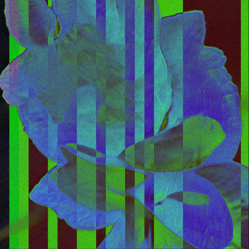 CLDCSMC #31