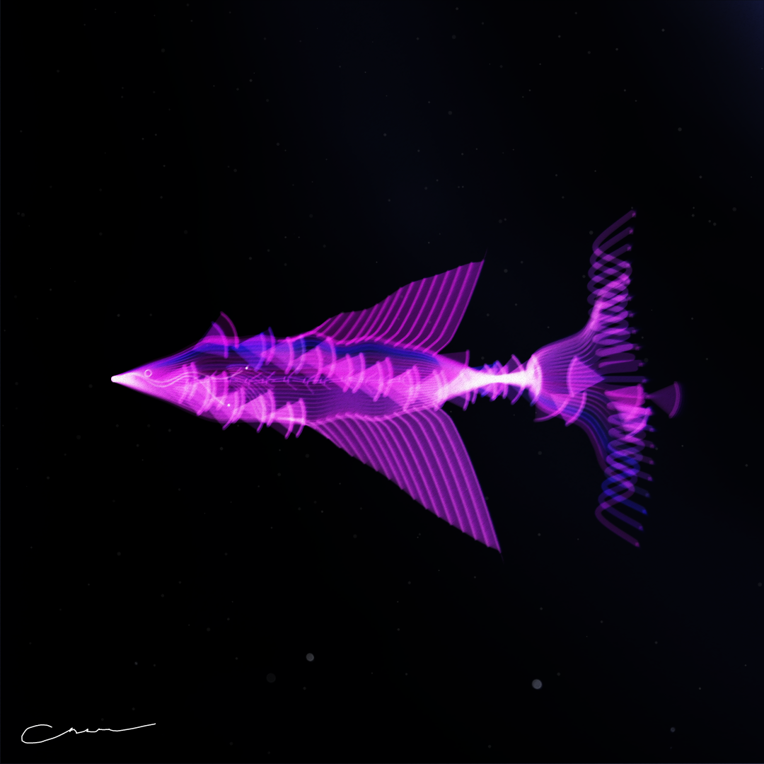 SoulFish #27