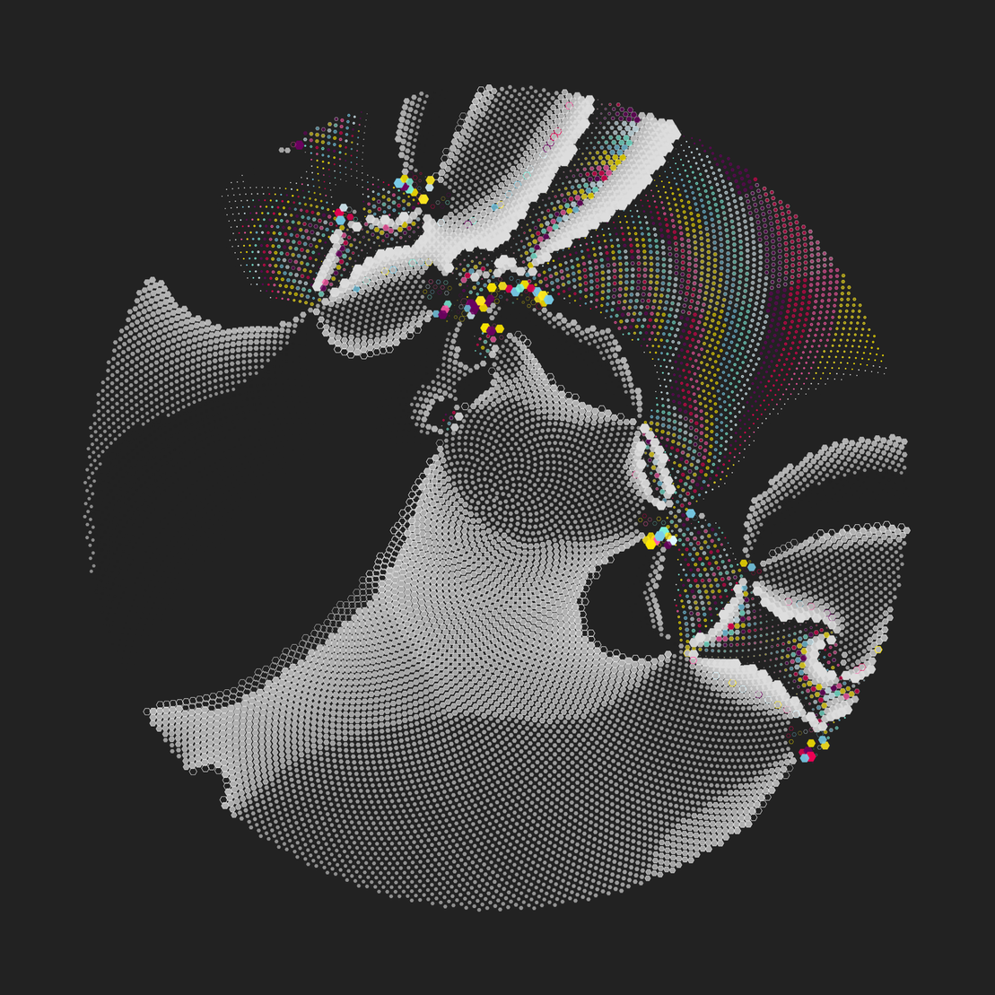 Still C #2082