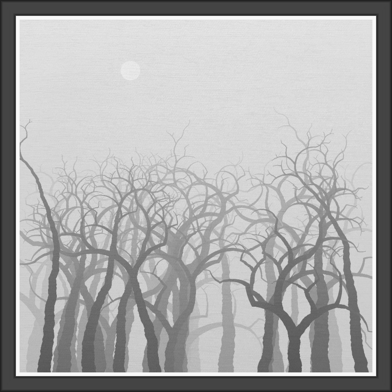 The Foggy Trees #107