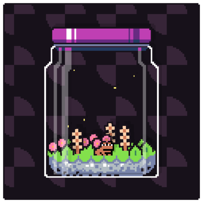 Toad Terrarium #174