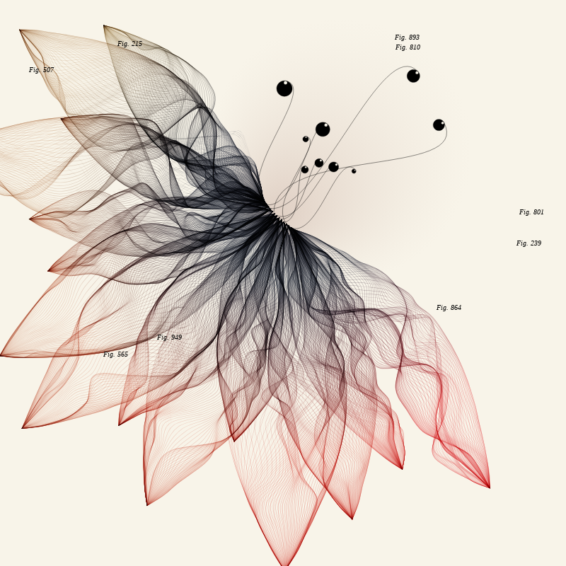 Herbarium #237