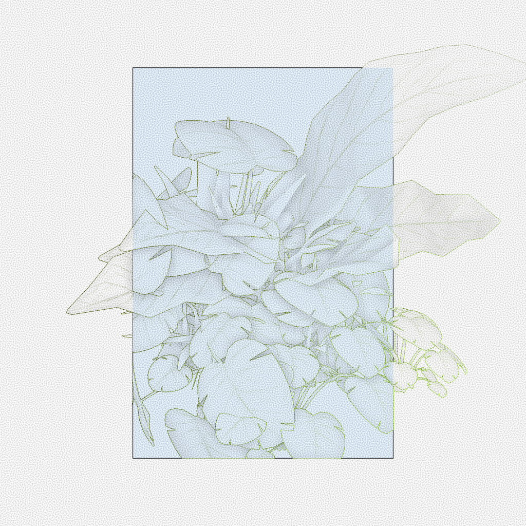 Botany #146