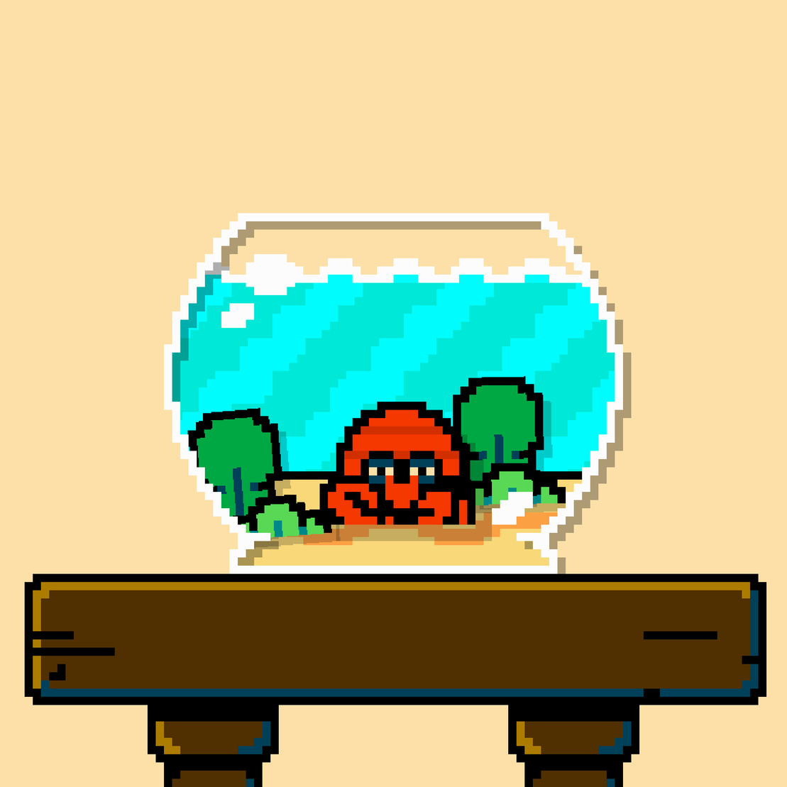 hermit crab #175