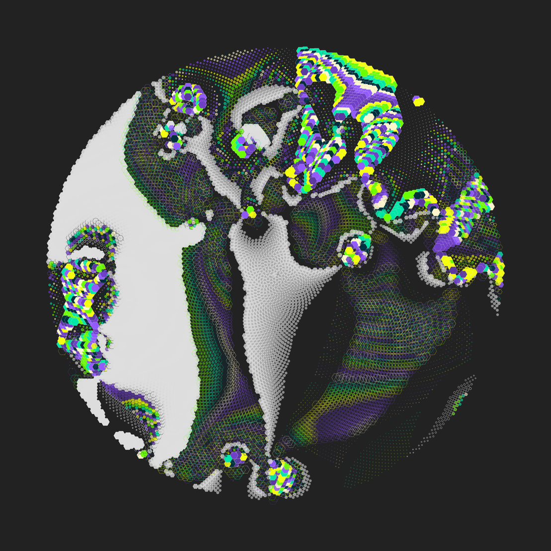 Still C #21866