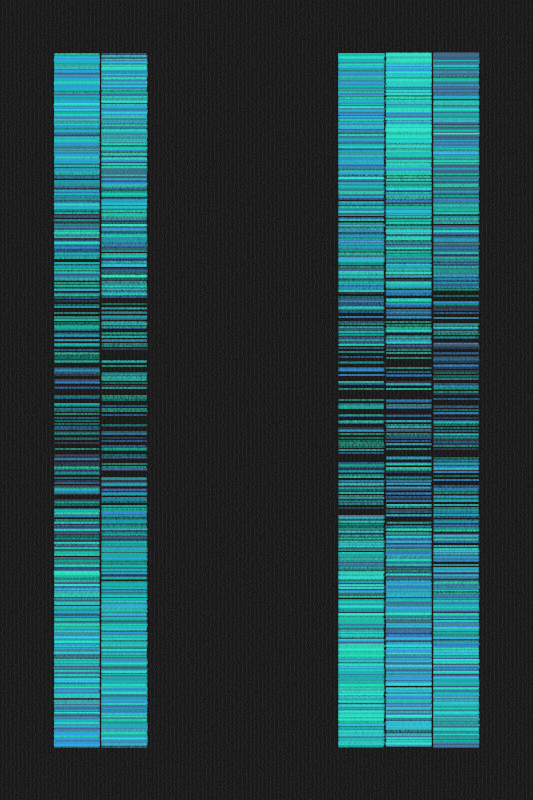 Sequence #393