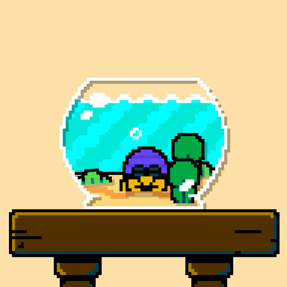 hermit crab #80