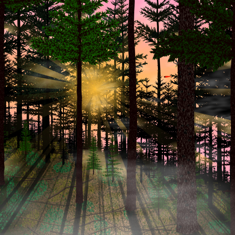 Forest Sunrise #49