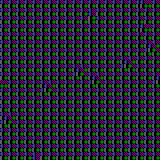 CGA Safari #238