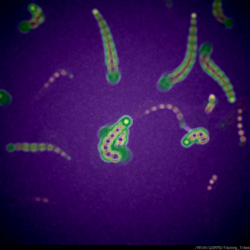 WORMS / Flocking Tribes #1