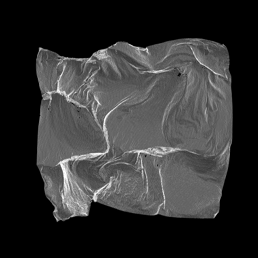 Fibril #377