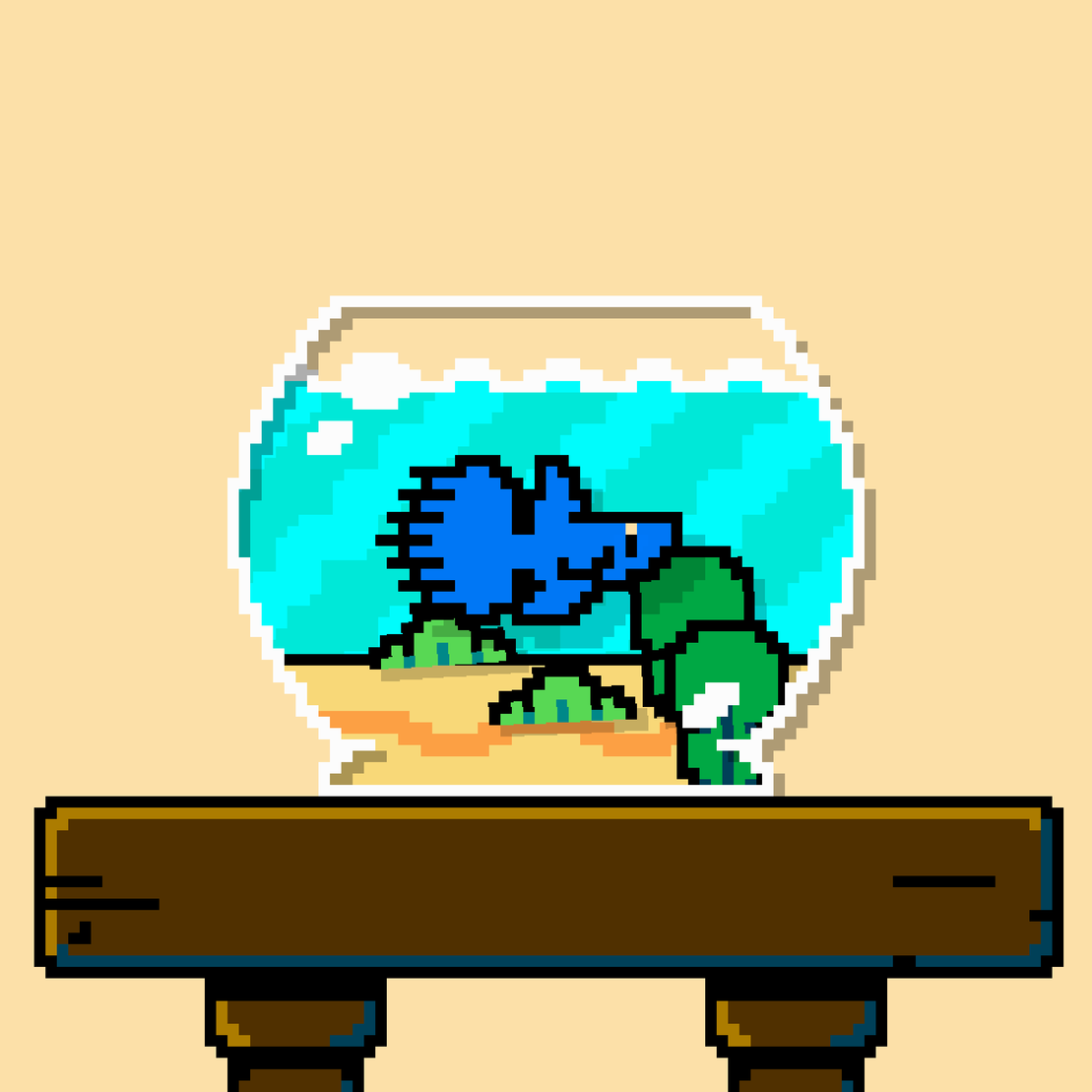 betta fish #427