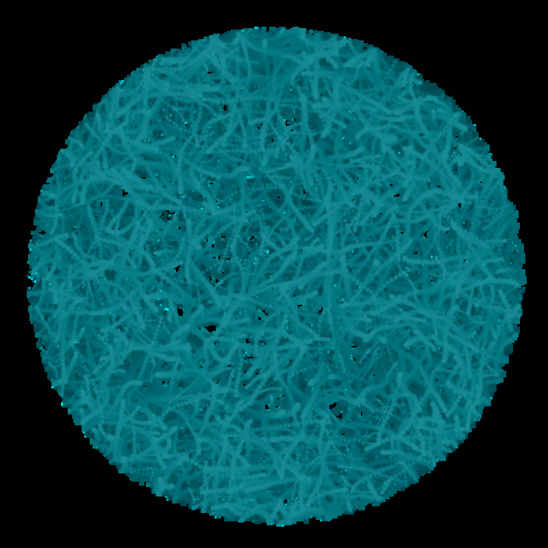 Petri Dish #33