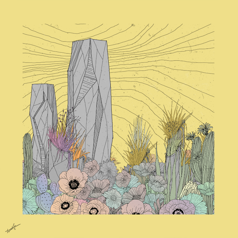 Garden of Lines #Rocks_Blooms #27