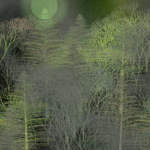 Moonlit Native Bush #84