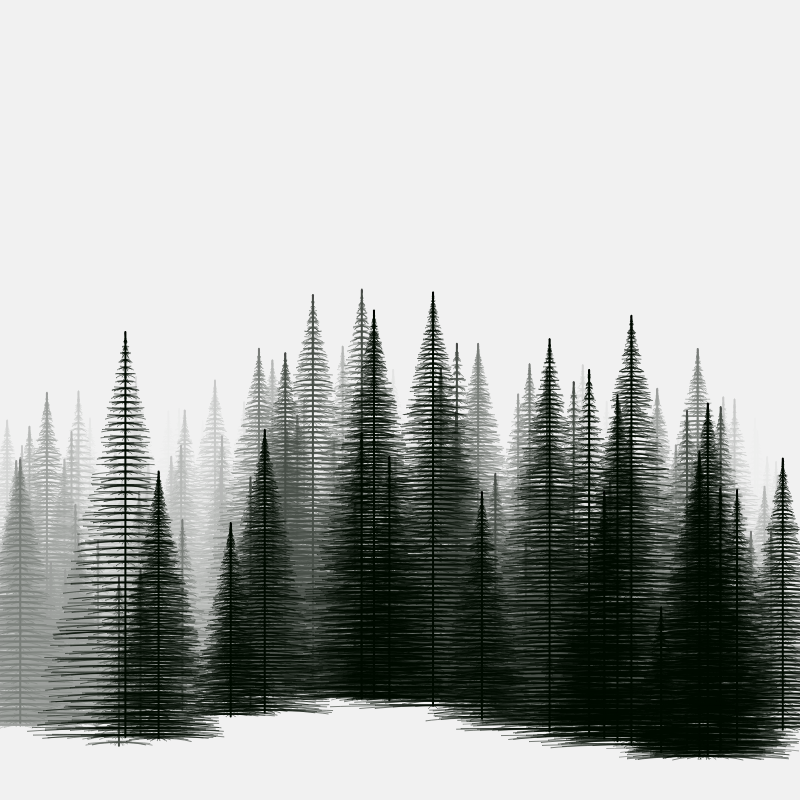 Pine trees in the cold #6