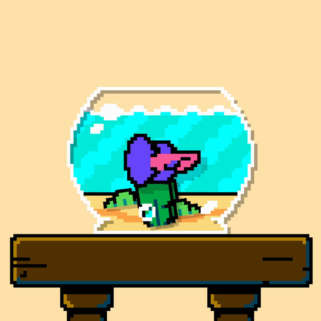 betta fish #715