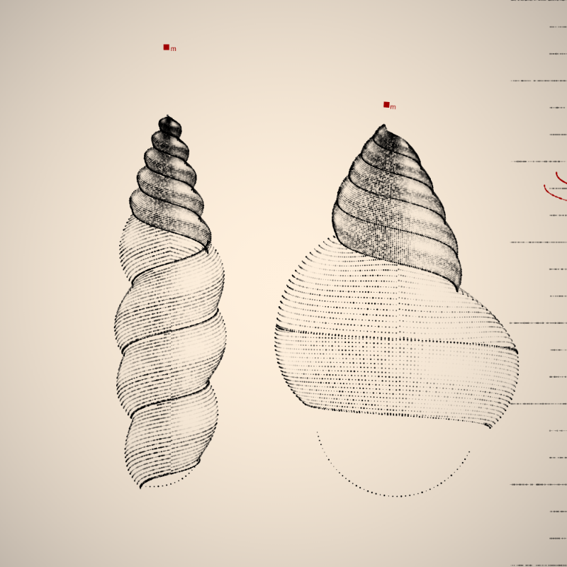 Two Specimen #309