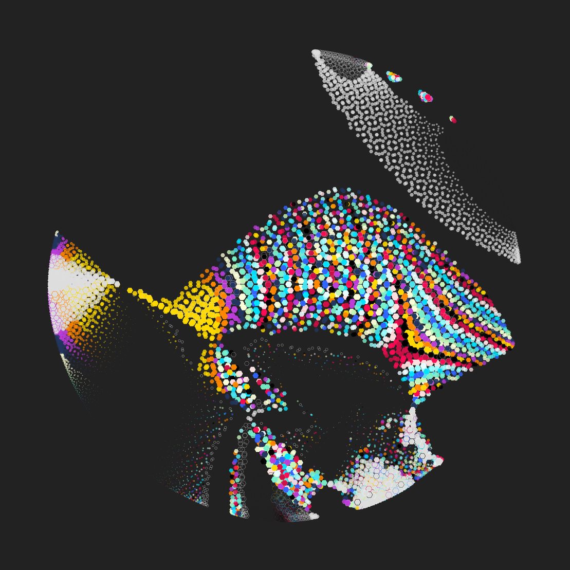 Still C #24979