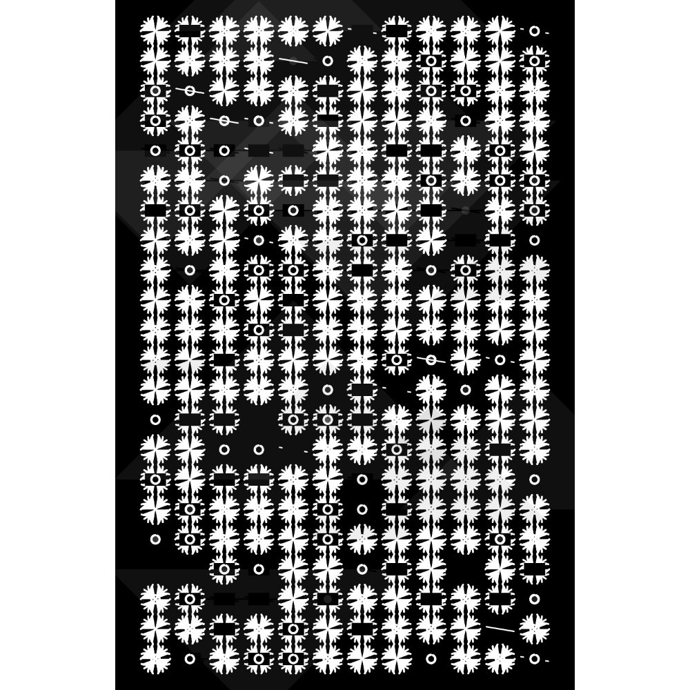 Etude B&W #341