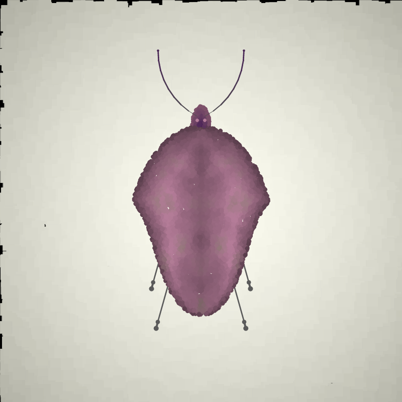 Beetle Sketches #30