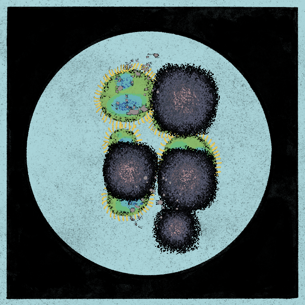 Microbes #78