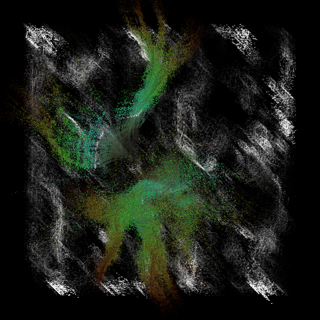 Entanglement #28