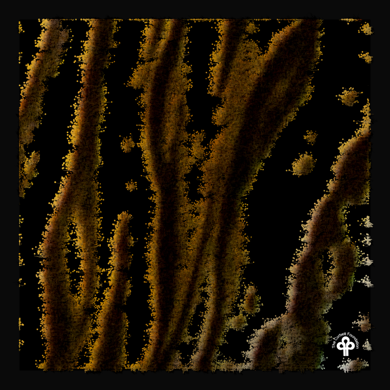 (re)generative tigers #8