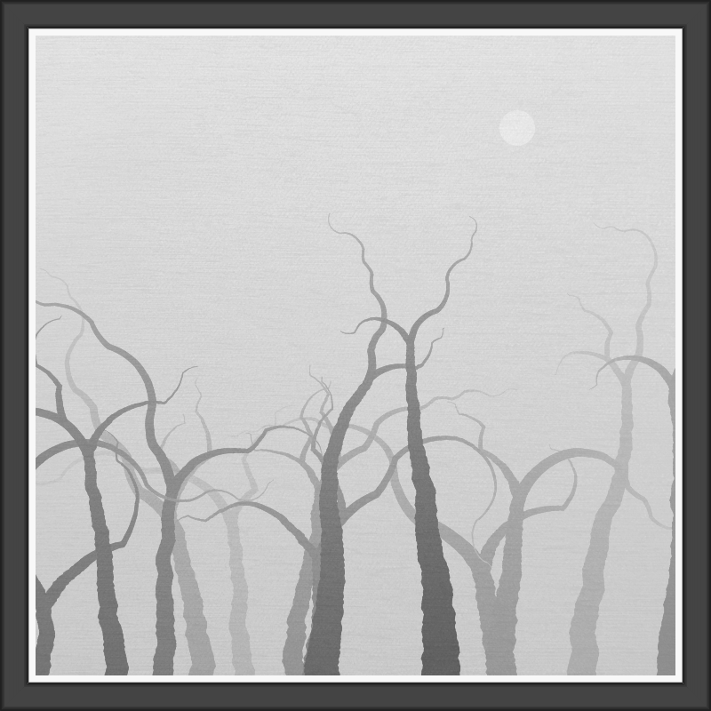 The Foggy Trees #52