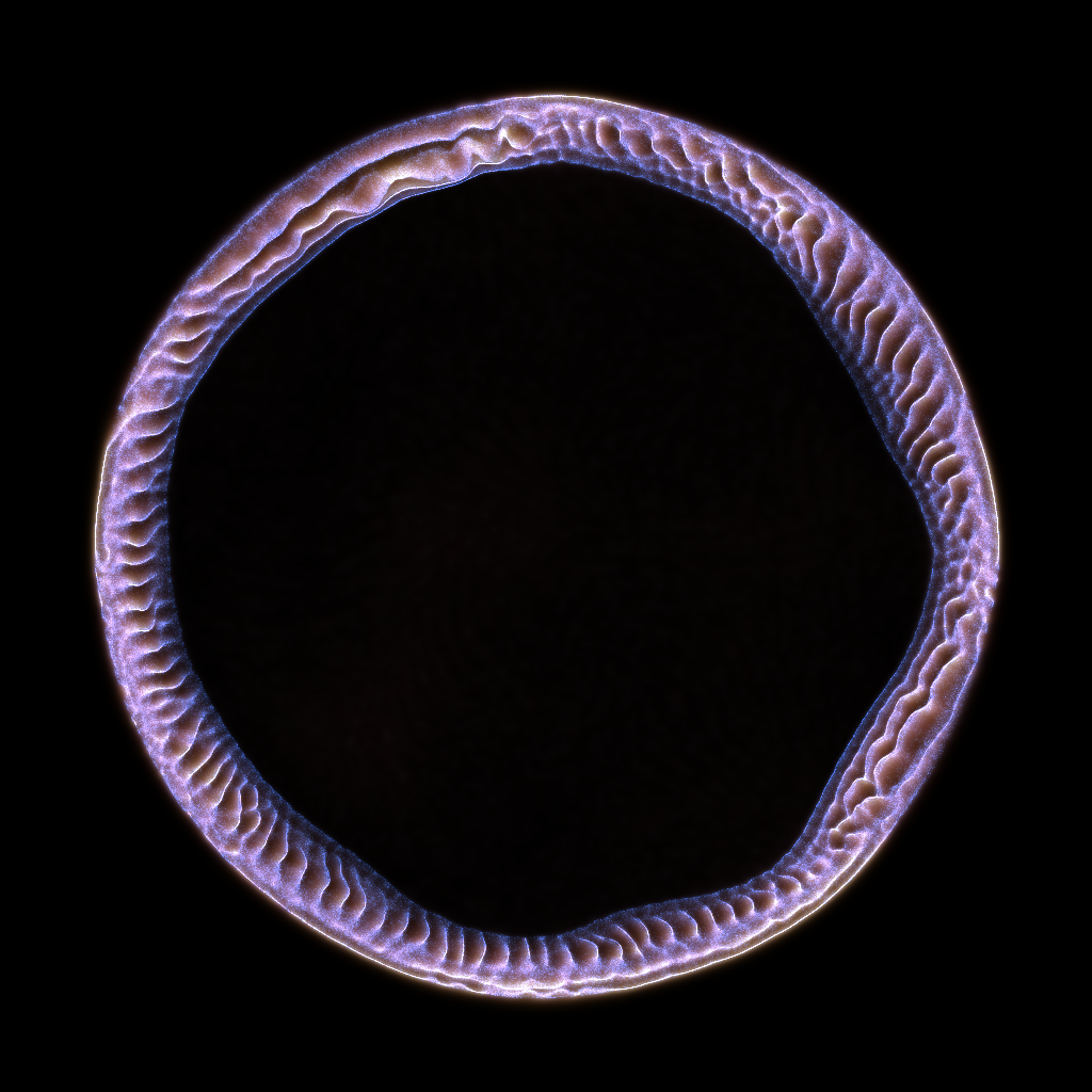 PETRI #2