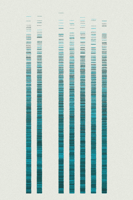 Sequence #242