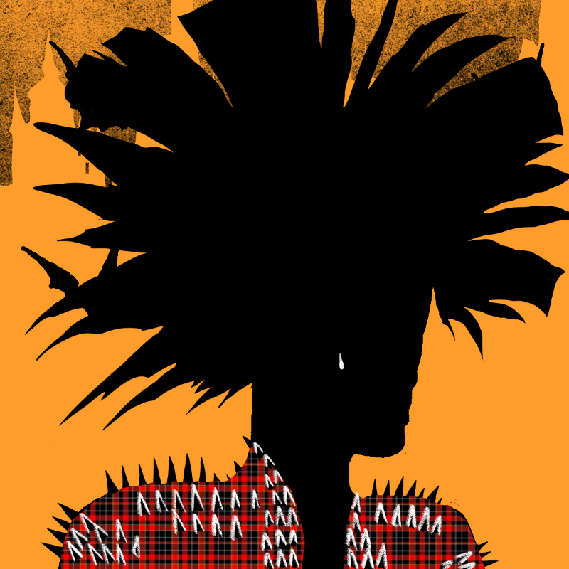 The Unseen Punks #32