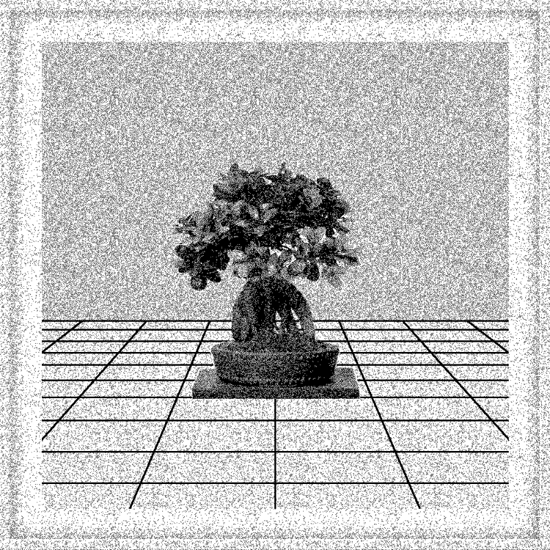 Bonsai Bonanza #170