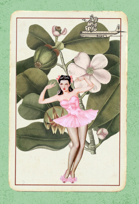 Paper Pinups v2 #15