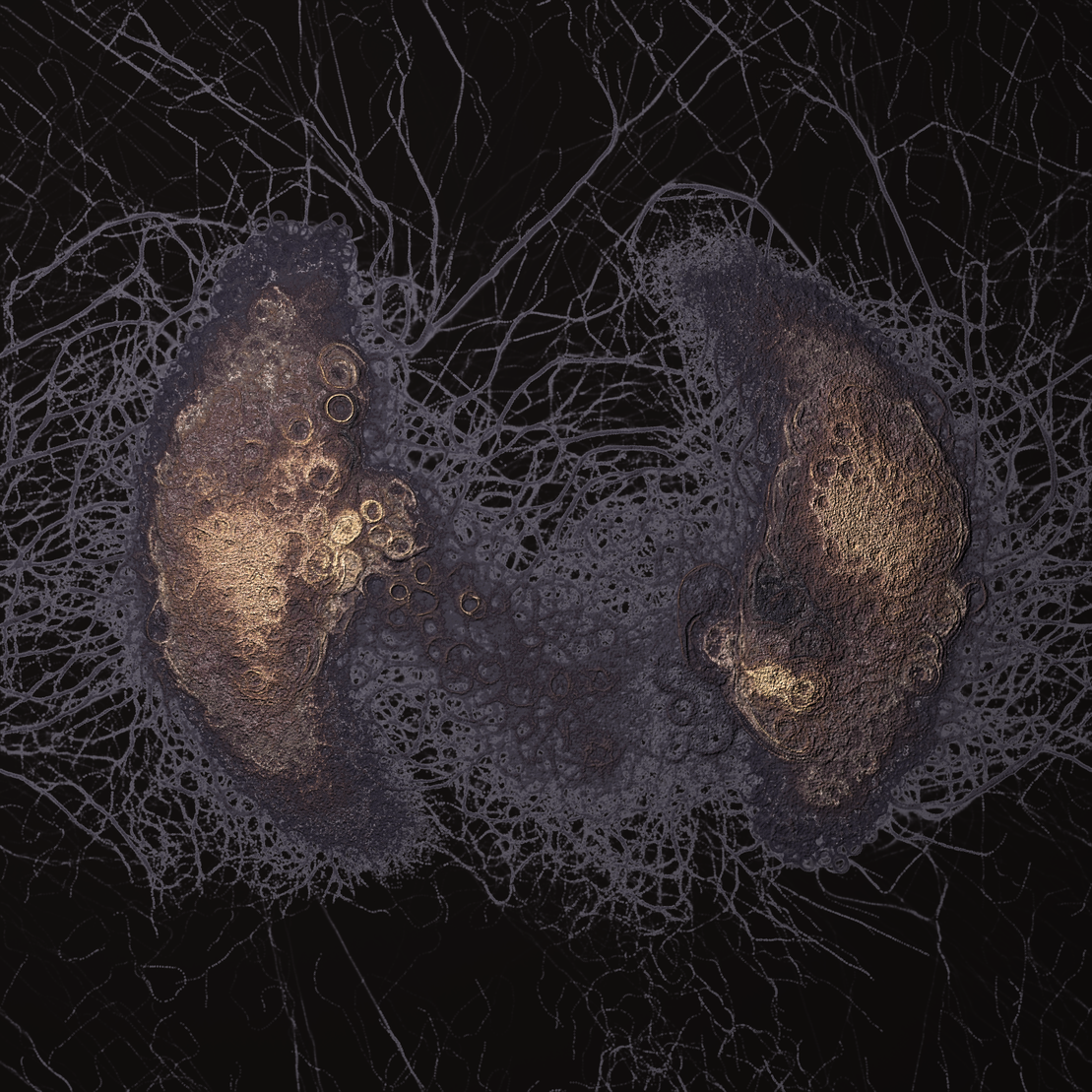 coalescence #5