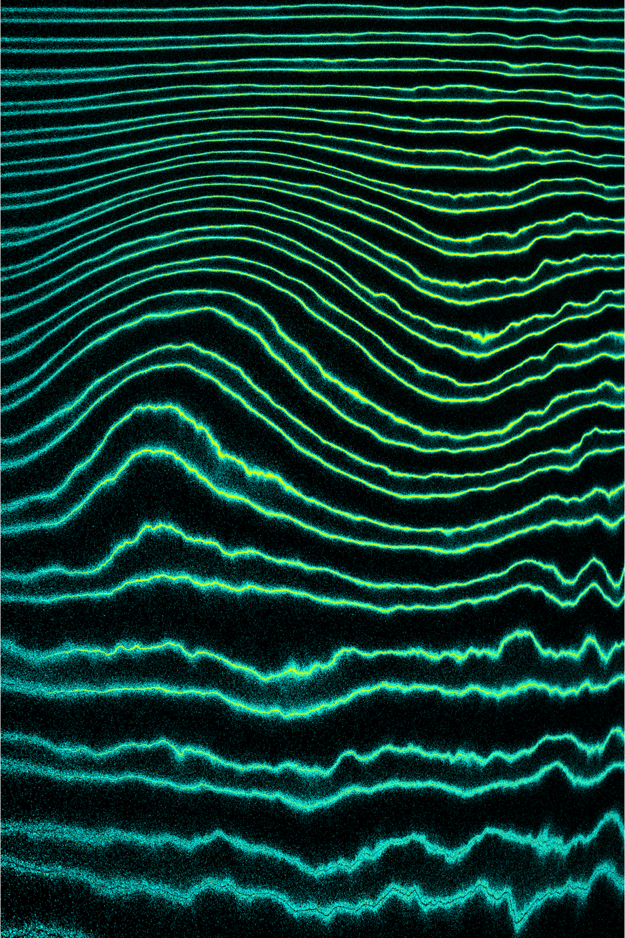 Linear Perturbations #56